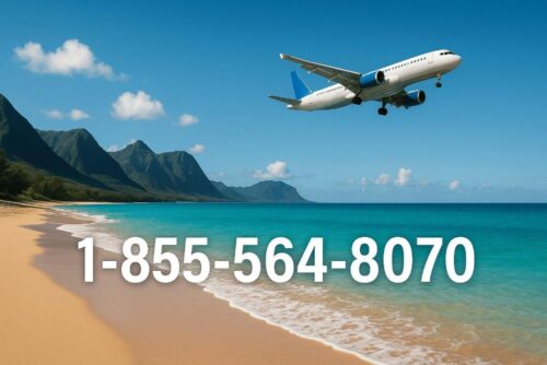 493d1be0-b677-48a3-9e42-751e6099c24d 493d1be0-b677-48a3-9e42-751e6099c24d