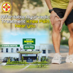 Affordable Ayurvedic treatment Knee Pain Near you