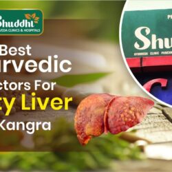 Best Ayurvedic Doctors For Fatty Liver in Kangra