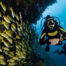 Diving in Mallorca