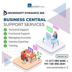 Business-central-support
