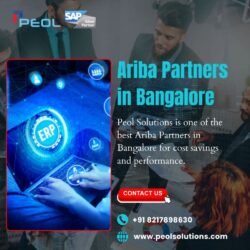 Ariba Partners in Bangalore