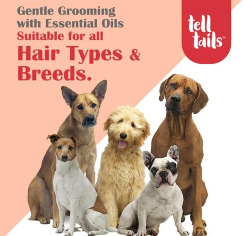 TICK & FLEA SHAMPOO-6 TICK & FLEA SHAMPOO-6