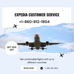 expedia 1804