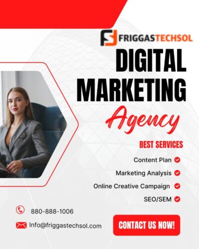friggastechsol friggastechsol