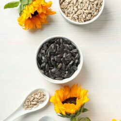 sunflower seeds (1)