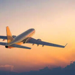 image (1)