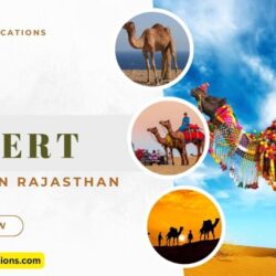 Desert Safari in Rajasthan (12)