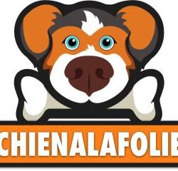 CHIENALAFOLIE