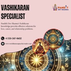 Vashikaran Specialist