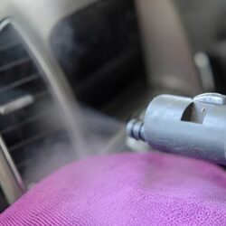 Automotive Air Fresheners Freshen Up Your Drive Naturally (1)