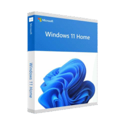 window 11 home