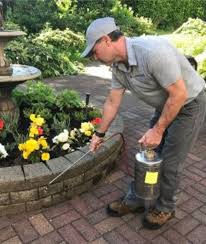 Residential Pest Control Services New Westminster Residential Pest Control Services New Westminster