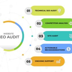 seo-audit