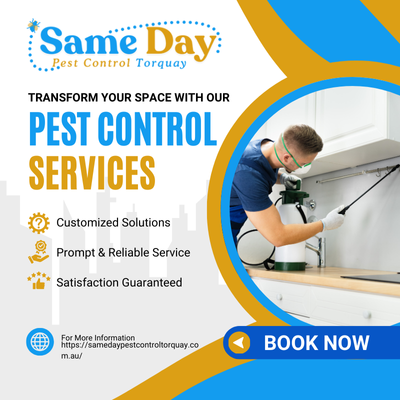 Same Day Pest Control Torquay Same Day Pest Control Torquay