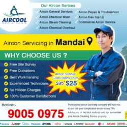 Aircon Service in Mandai
