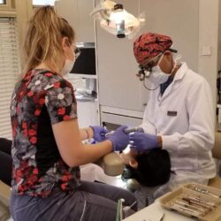 root-canal-therapy-victoria