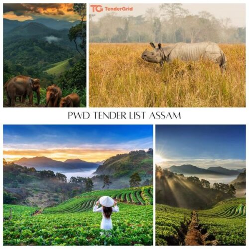 PwdTenderListAssam1 PwdTenderListAssam1
