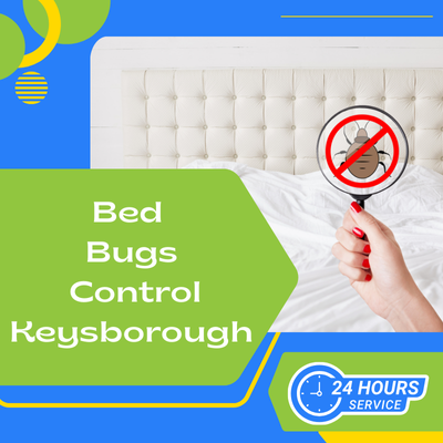 Bed Bugs Control Keysborough Bed Bugs Control Keysborough