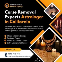 Curse Removal Experts Astrologer in California 1