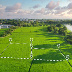 agriculture-land
