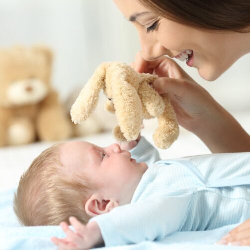Lothian Maternity Support6 Lothian Maternity Support6