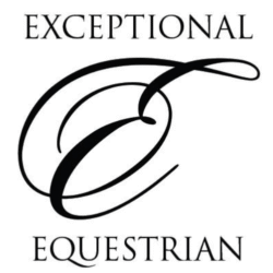 Exceptional Equestrian