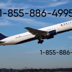 Delta Airlines customer service