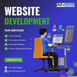 website development