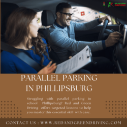 Parallel Parking (1)