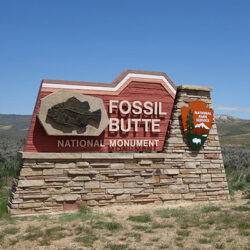 Monument-Signs-2 (4)
