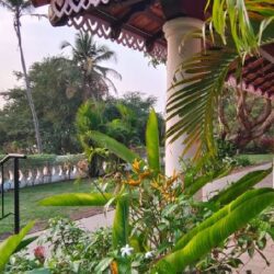 villas panjim
