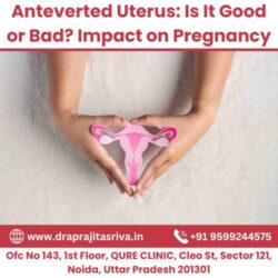 Anteverted Uterus Is It Good or Bad Impact on Pregnancy