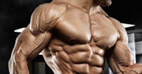 Muscle-Growth (1) Muscle-Growth (1)
