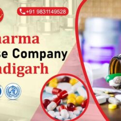 pharma-franchise-company-chandigarh intralife