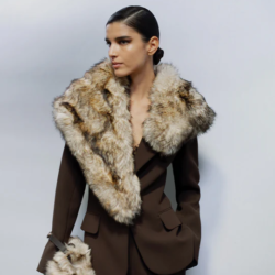 ES_RTW_FW25-26_Search_Menu_650X700_Global_540x