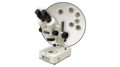 Embryo Microscope Embryo Microscope