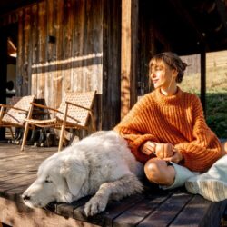 Pet-Friendly Farm Stay Gloucester