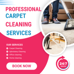 Nova Carpet Cleaning Ryde