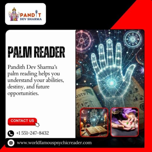 Palm Reader Palm Reader