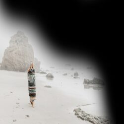 bg-trans