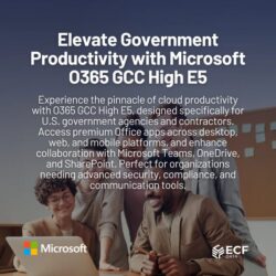 O365_GCC_High_E5_License_1