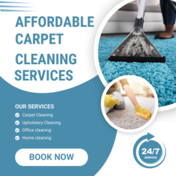 Same Day Carpet Cleaning Armstrong Creek