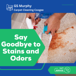 GS Murphy Carpet Cleaning Coogee