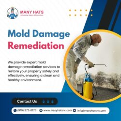 Mold Damage Remediation in Durham