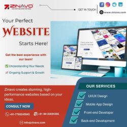 Your Perfect Website Starts here