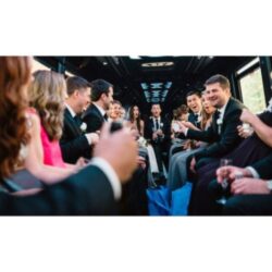 Party Bus Wine Tours Wimberley TX