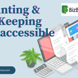 BizBooks Advice Cover Image (2)