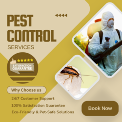 Same Day Pest Control Melton