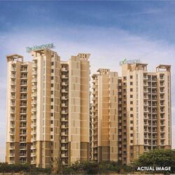 Flats in Gurgaon